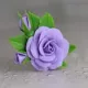 Цветы и листья Цветы и листья